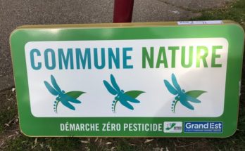 Amance (54) - Commune Nature