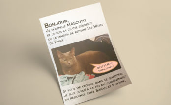 Le chat Mascotte